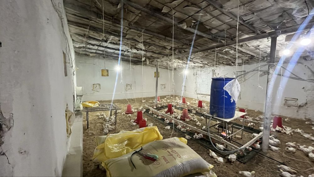 Шуртан Аланга кучмас мулк