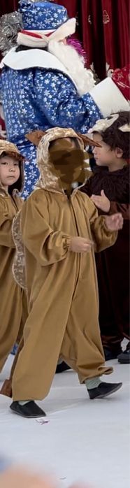 Верблюд карнавальный костюм