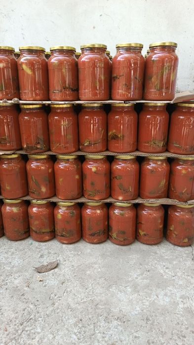 Сокка помидор бодринг