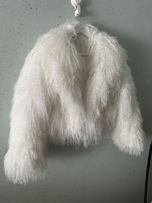 Blana scurta mongoleza