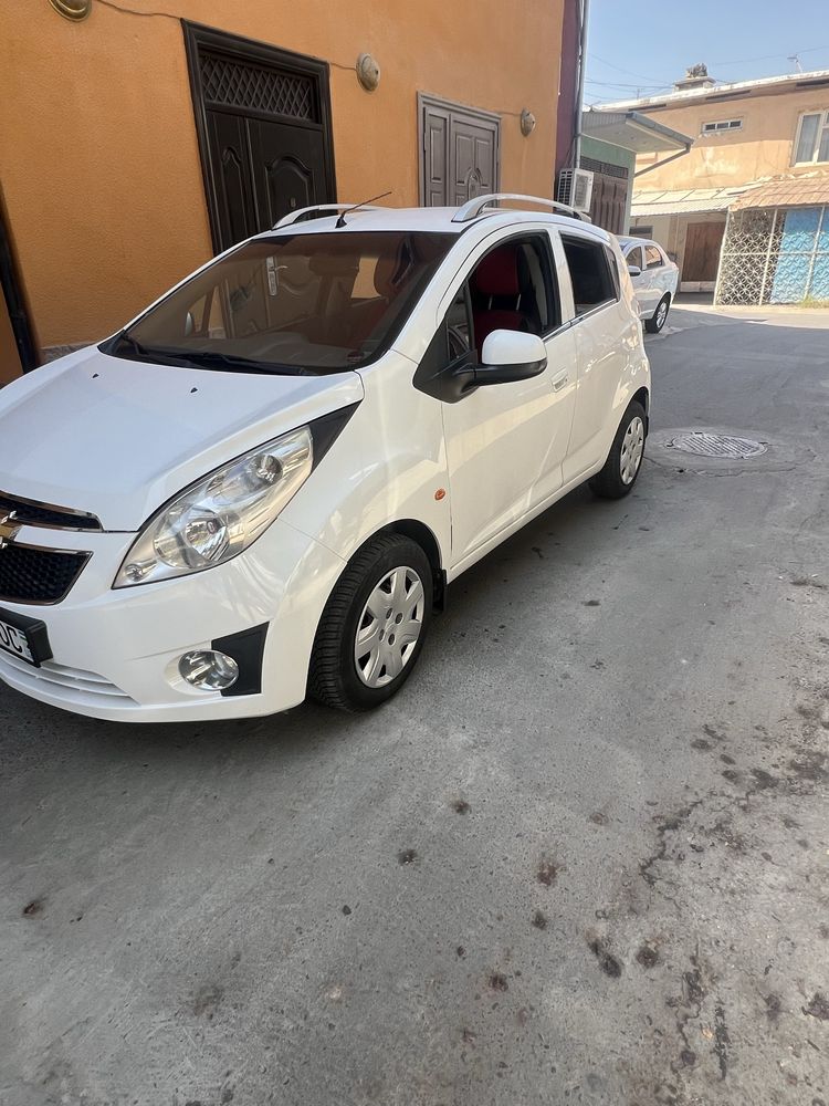 Spark xolati zorr