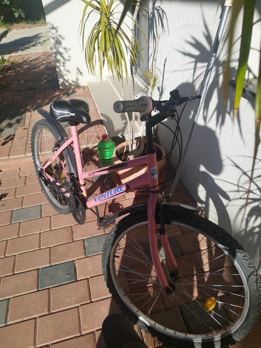 Bicicleta Venture damă