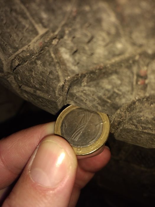 Желязни джанти с зимни гуми