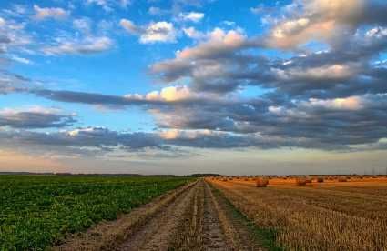 vand teren extravilan sat Oancea, comuna Romanu, judet Braila