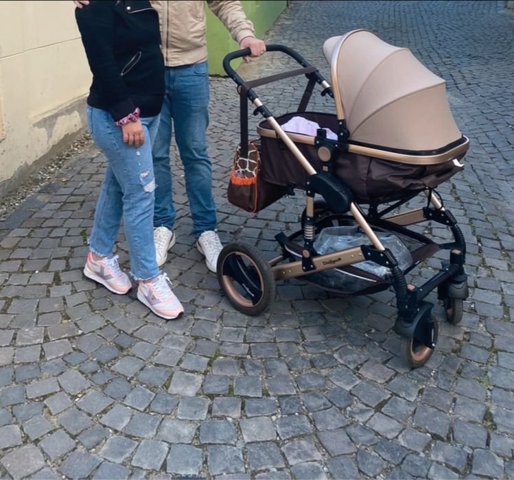 Carucior 2 in 1 Dalyia