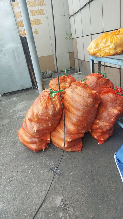 Свежая замороженная кукуруза оптом