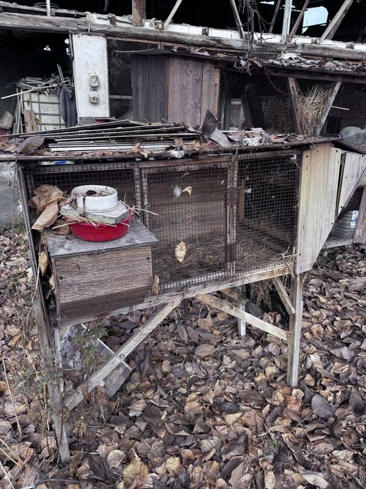 Крольчатники. Большой 300 тыс, маленький 50 тыс