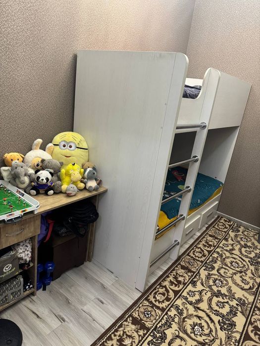 Qora qamish moyqoʻrgʻonda novostroyka sotiladi.