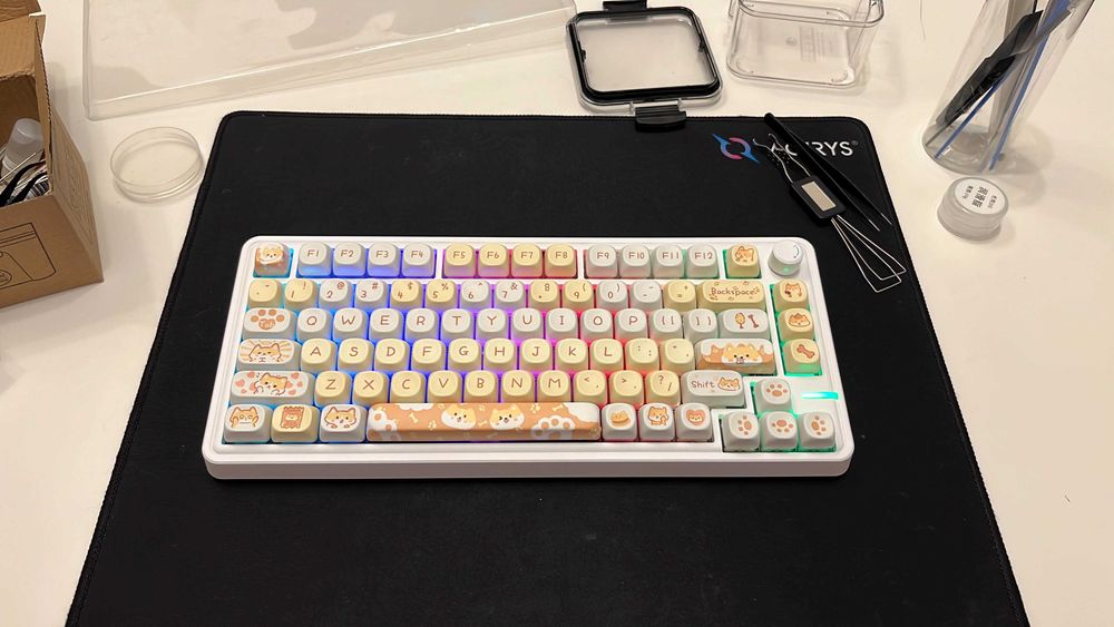 Tastatura custom Zuoya LS02 - switch uri / stabilizatoare lubrifiate