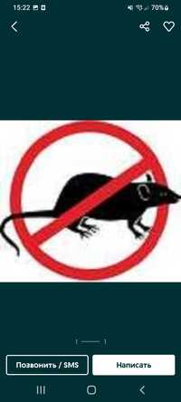 Дезинфекция уничтожение клопов тараканов и мышей крыс ос