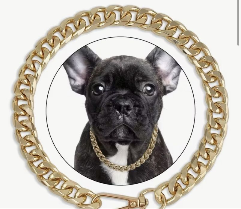 Колие за домашен любимец