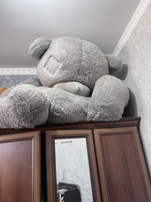 Самая по размеру больгая мишка Тэдди. Продам срочно. Выше 2 метров