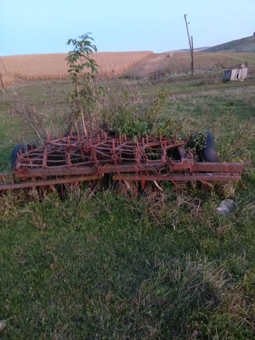 Disc cu tot cu grape de vanzare