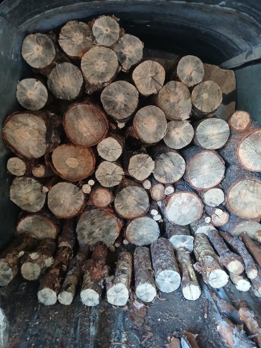 Продам дрова чурками