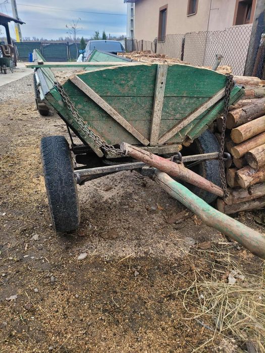 Mânză foarte bună de lucru