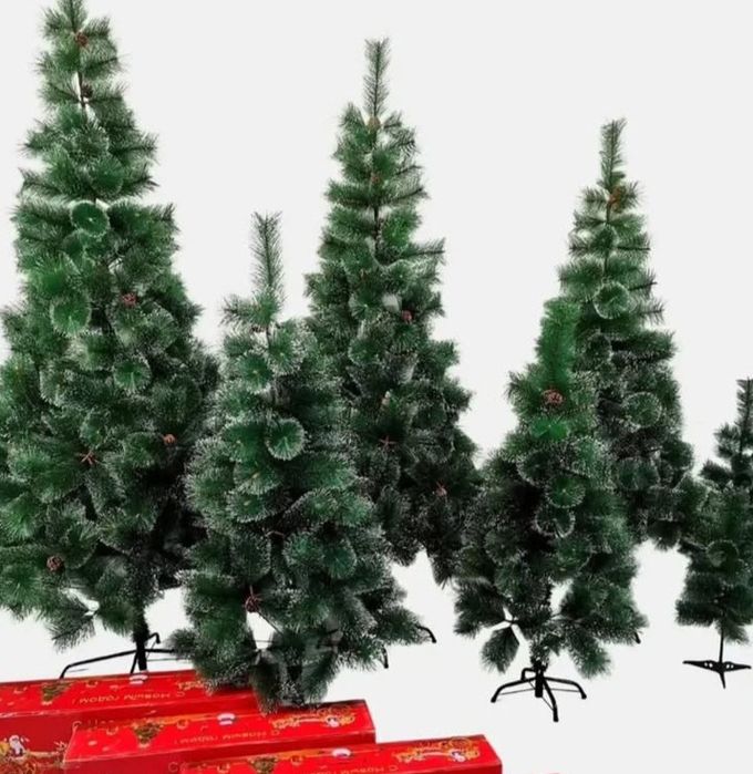 Ёлки с доставкой по Семей