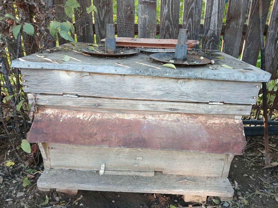 Stupi albine stare buna