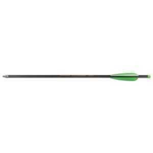 Sageti arbaleta carbon 20 inch(51cm) 17 lei,varfuri cu 3 lame,8lei,noi