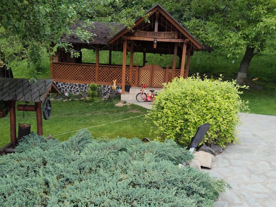 Cazare Casa dintre pini