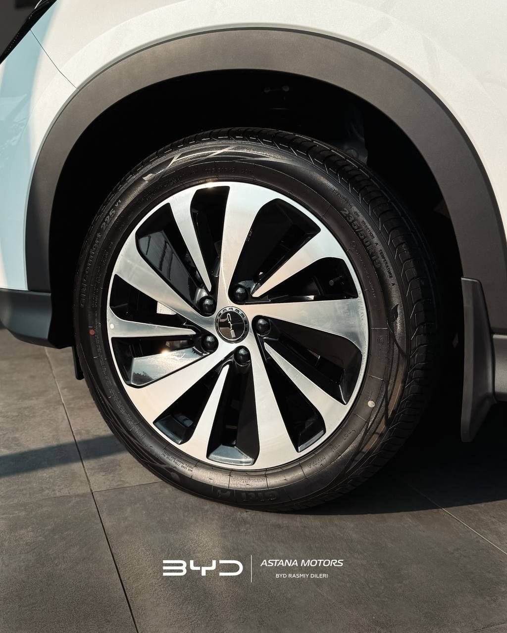 Byd Chempion Gibrid