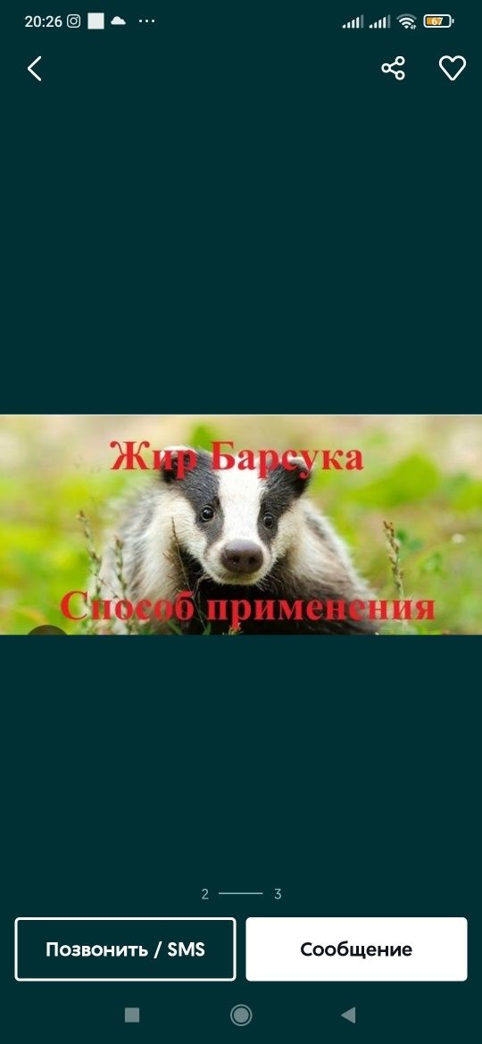 Г'оз,Бу'рсик,Айик,-ёг'лари