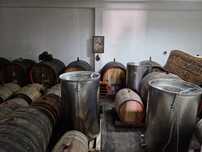 Struguri pentru vin de calitate DOC Cotesti si must direct producator
