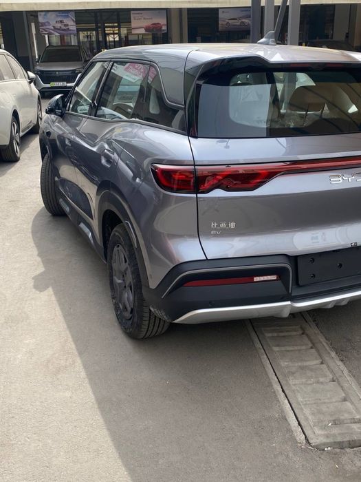 byd yuan up  2025 yil 401 km