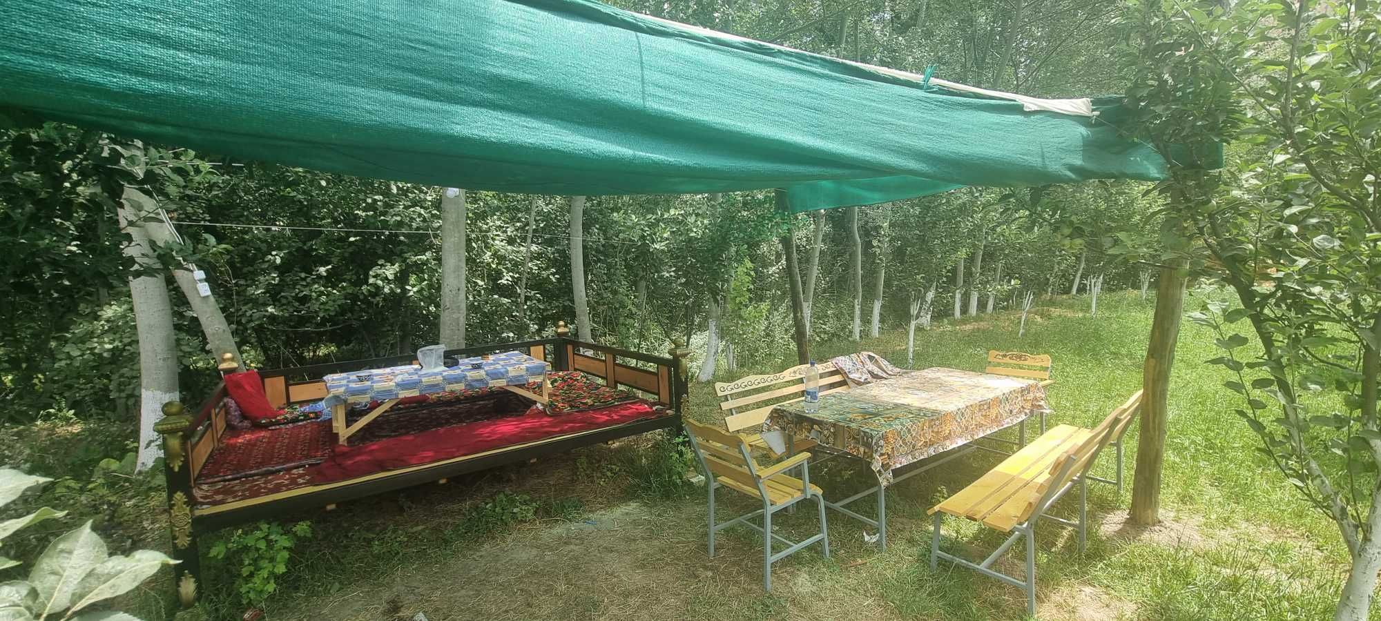 Zomin sanatoriyaga atrofida dacha tinch joy oilaviy dam olishga
