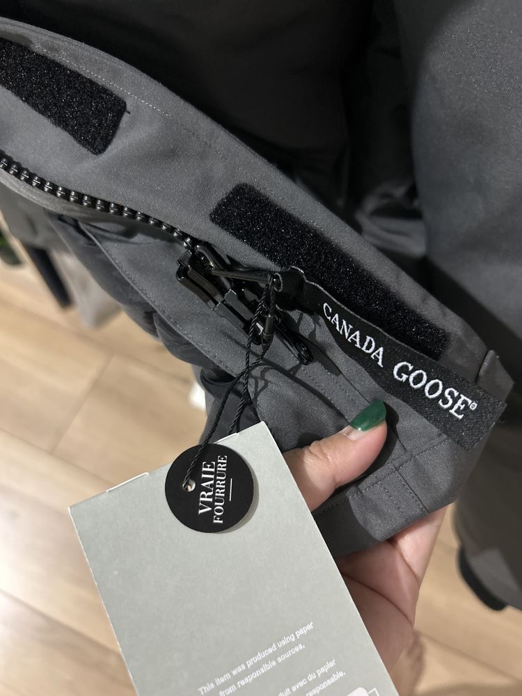 Canada goose expidition