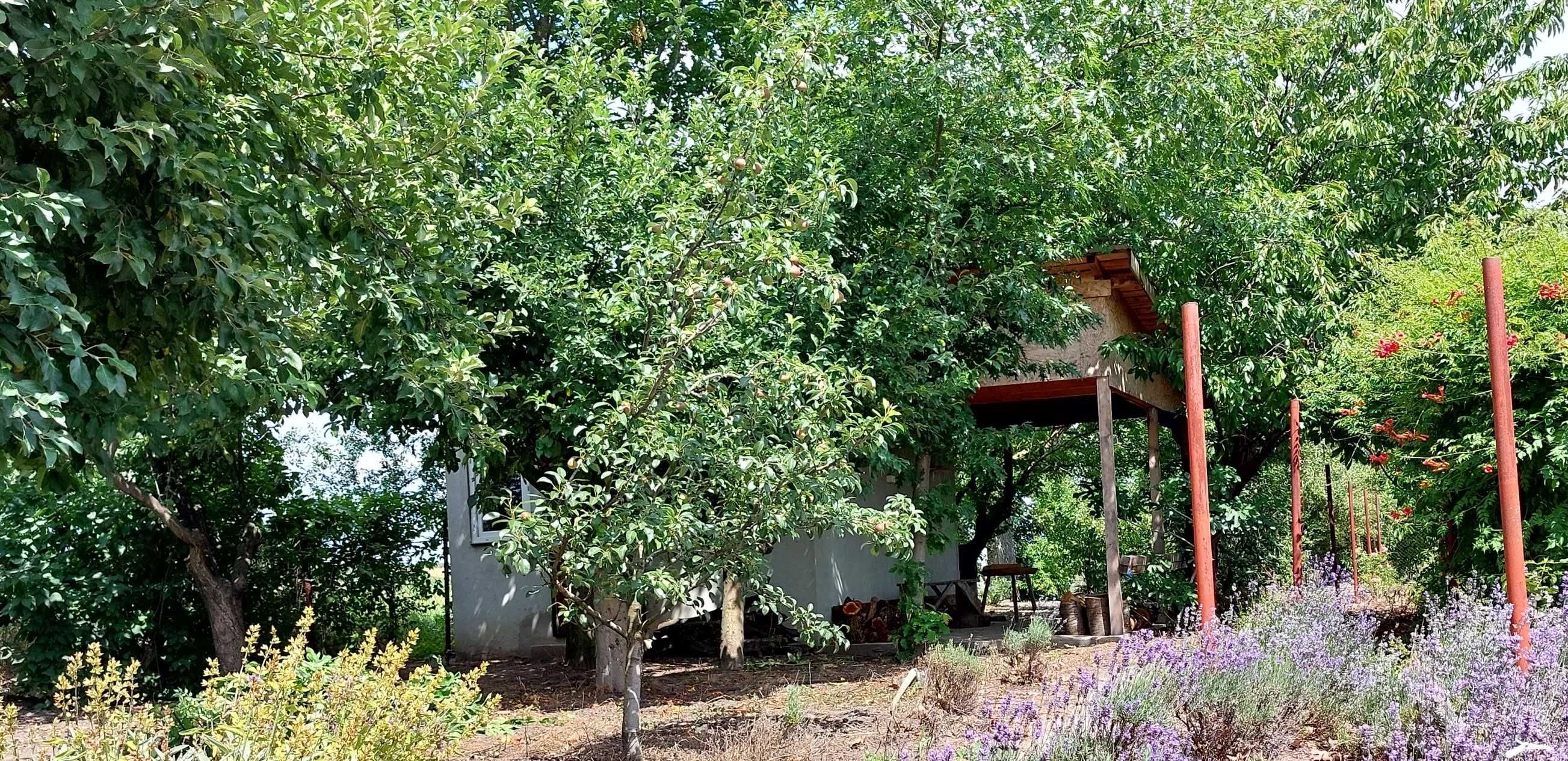 Casa de vanzare in Nanov