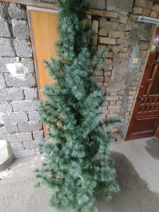 Ёлка арча 2,5 метра бу без подставки на ножке