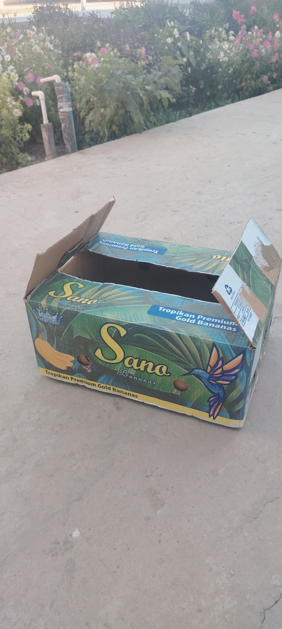 Banan qutilar sotiladi