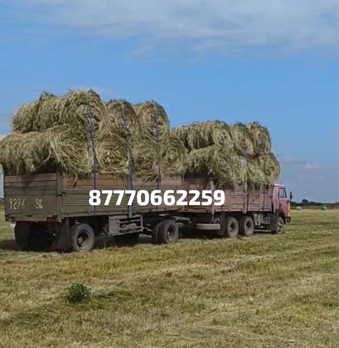 Продам сено луговое