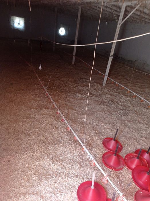 Broler boqishga joy ijaraga beraman