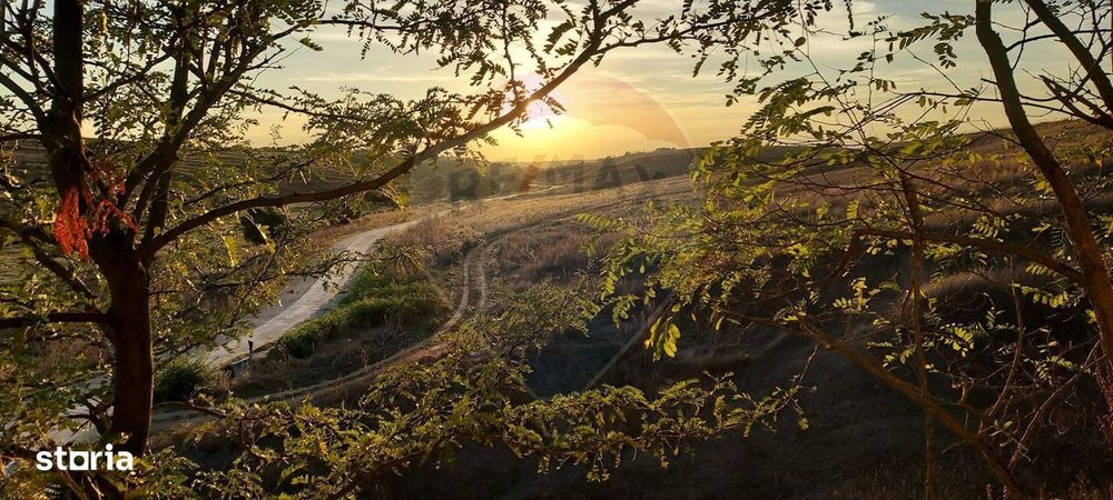 Teren 1,500mp Bujor, Varvoru de Jos