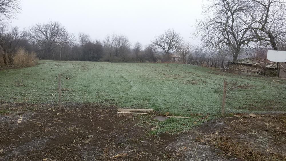 Продава се Парцел в с. Нейково, Област Добрич - 2400 кв.м за 6 €/кв.м - Снимка #5