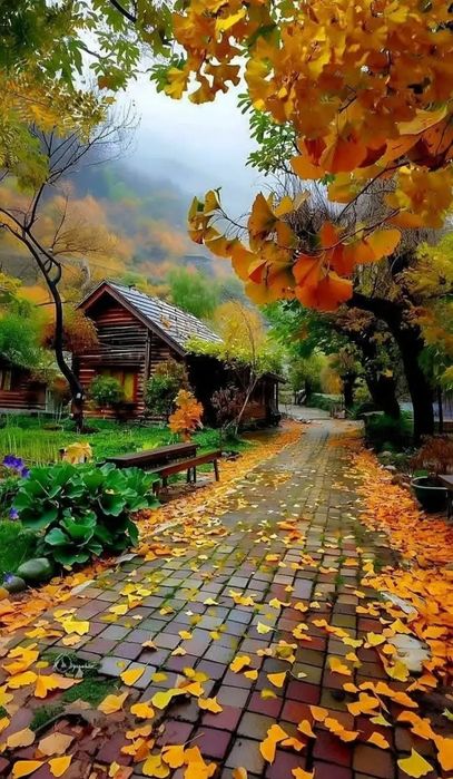 Ипакчилик махалля земельный участок с кадастром 32-соток рядом парком