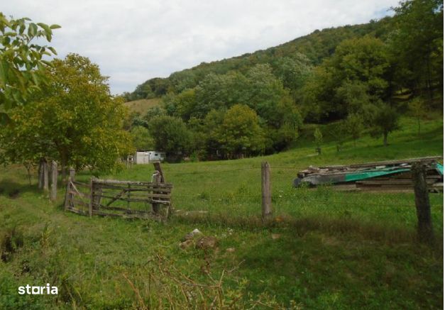 Teren extravilan-Loc. Roscani, comuna Dobra, judetul Hunedoara;