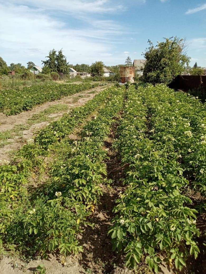 Продам дачу на Солнечной поляне,летний вариант, или сдам дачу