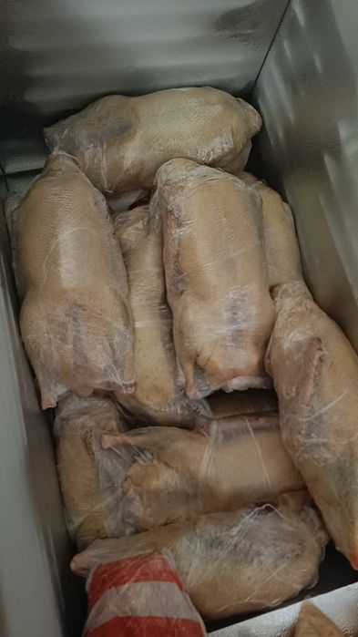 Мясо домашних гусей