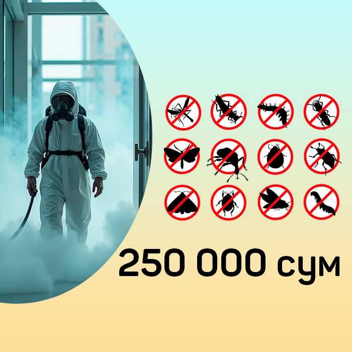 Dezinfeksiya klop tarakan Дезинсекция и дезинфекция от крыс, мышей, ос