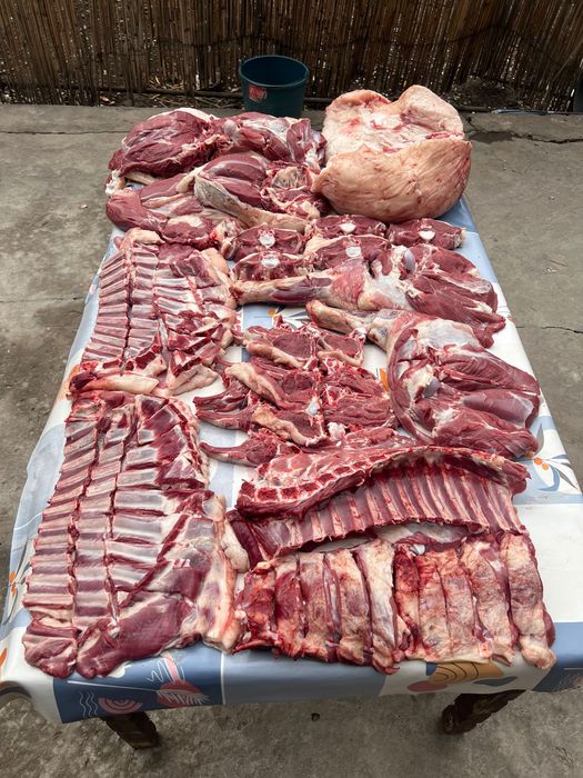 Qassob xizmati halal servis