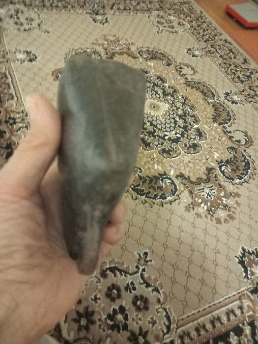 Автентентична хлопка