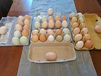 Домашни яйца- L ;XL