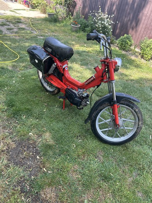 Motor rizzato si poket