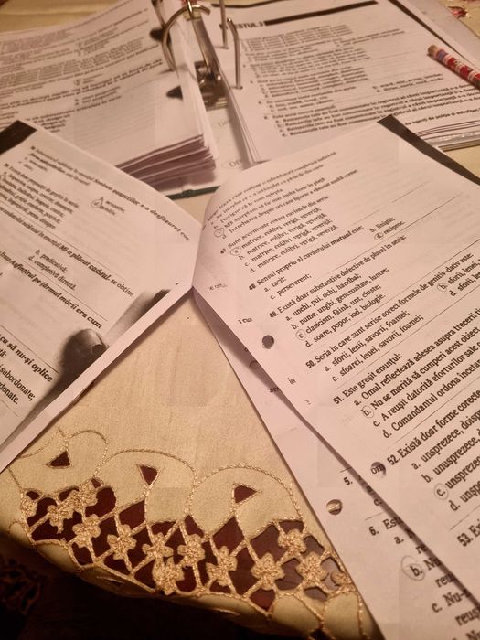 Ofer meditatii la gramatica limbii române ,pentru academia de poliție