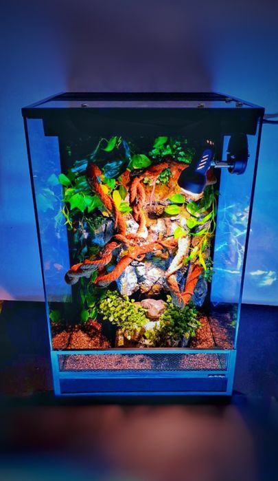 Террариум для хамелеона