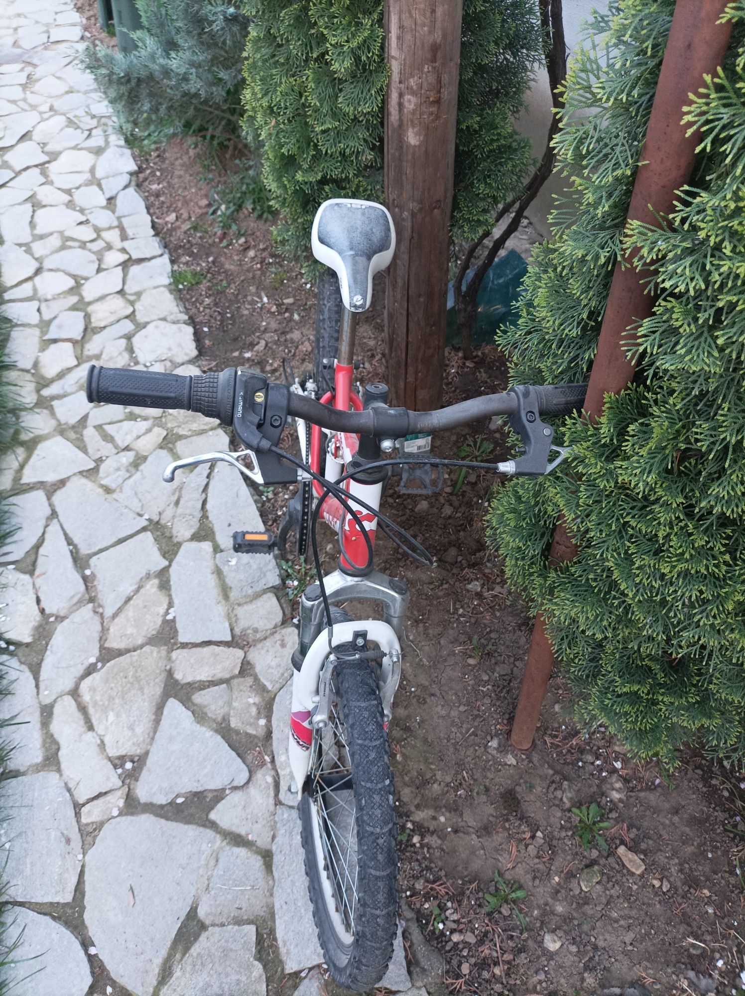 Biciclete de copii 20 si 24