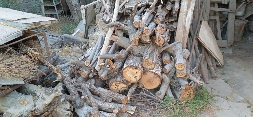 oʻtin sotiladi xarxil