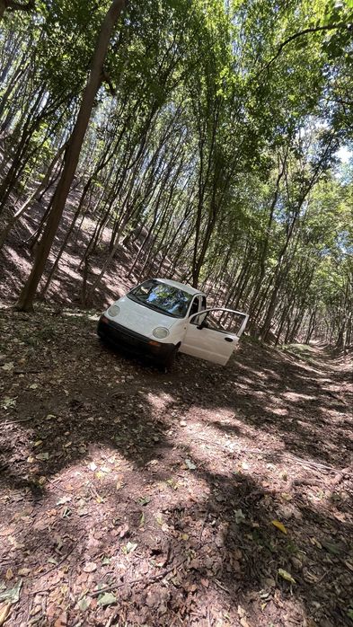 Vand matiz pentru camp